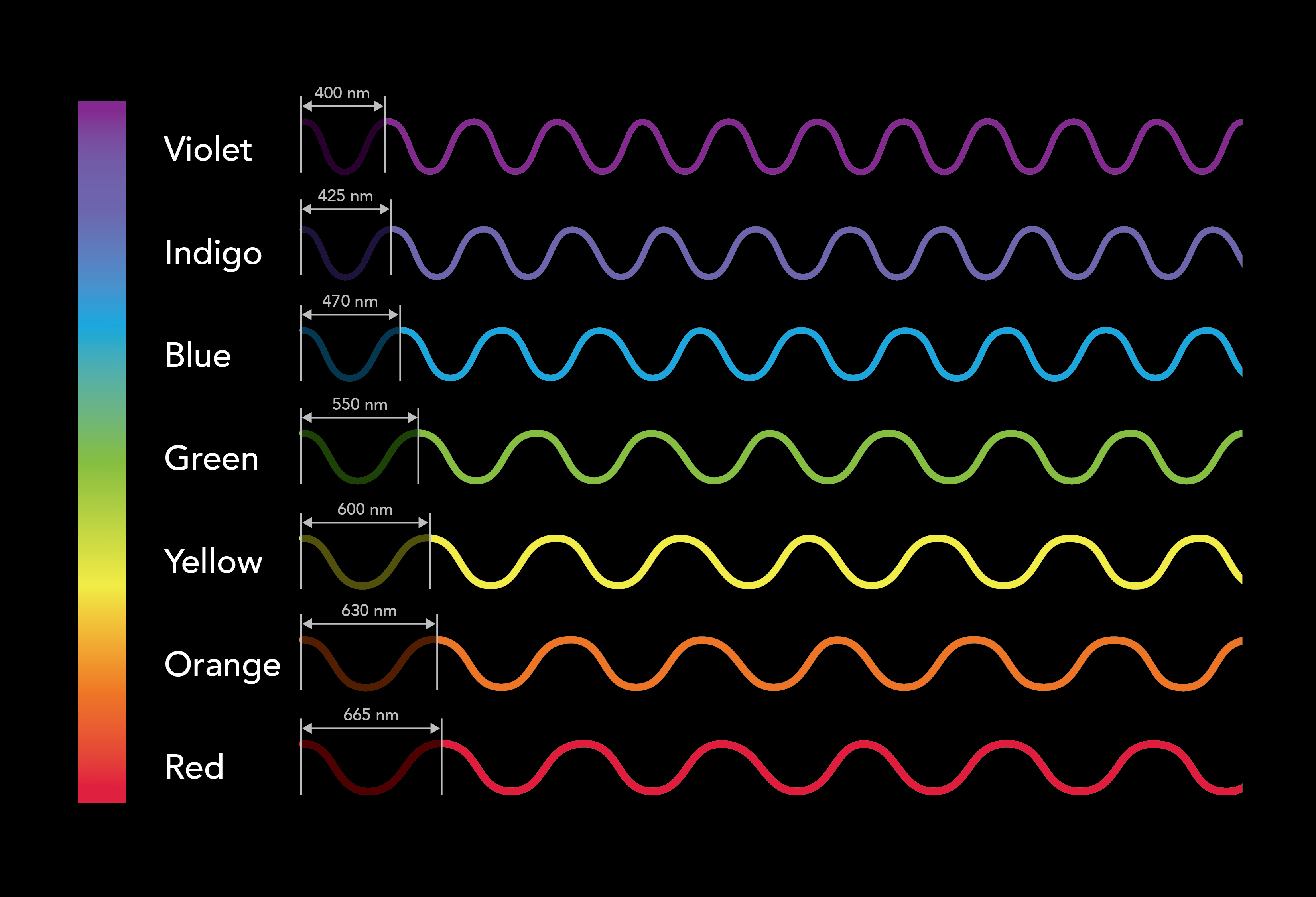 Colors of the visible light spectrum with wavelength waveforms